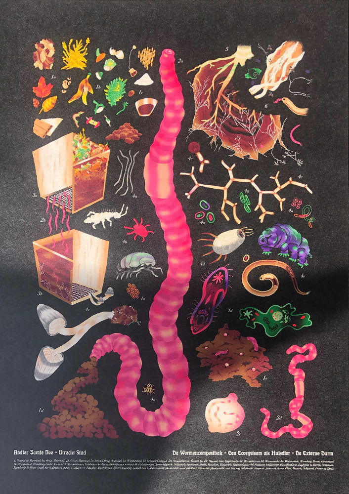 WORM SCHOOL CHART- A2 - digital print