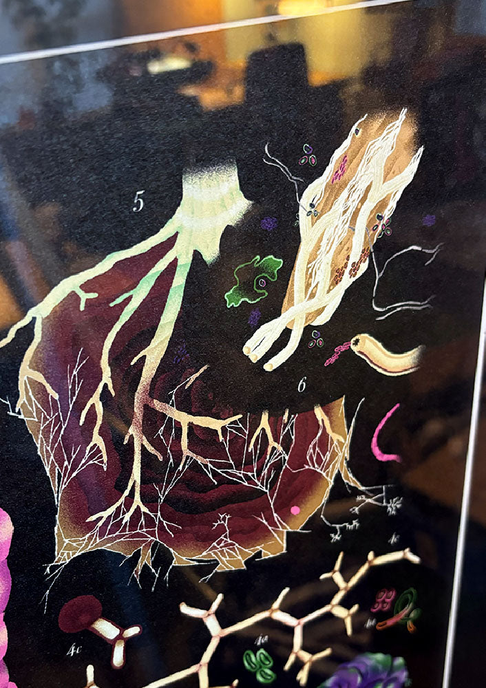 WORM SCHOOL CHART- A2 - digital print