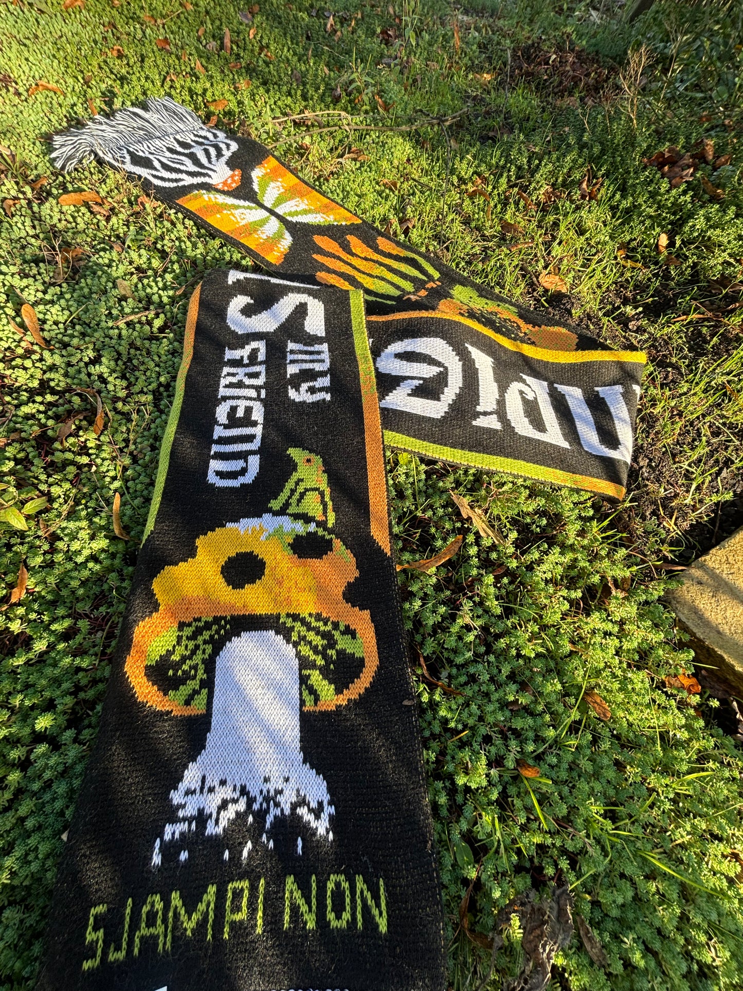 WE ARE THE CHAMPIGNONS - SPECIAL EDITION