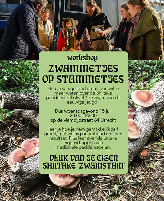 Workshop Ticket Zwammetjes op Stammetjes